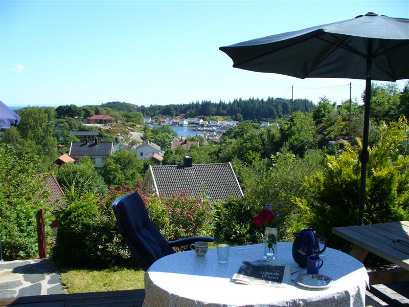 Lind 005hylla 009 (Medium)_8